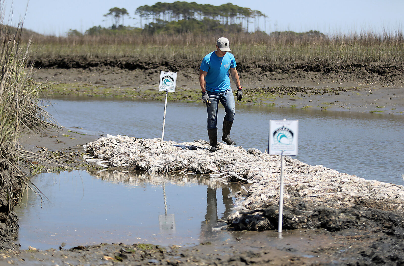 426 NMB oyster bed_JM10.JPG
